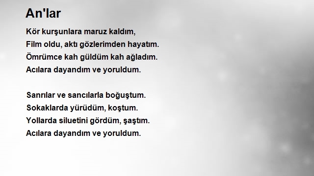 Erva Özbaba
