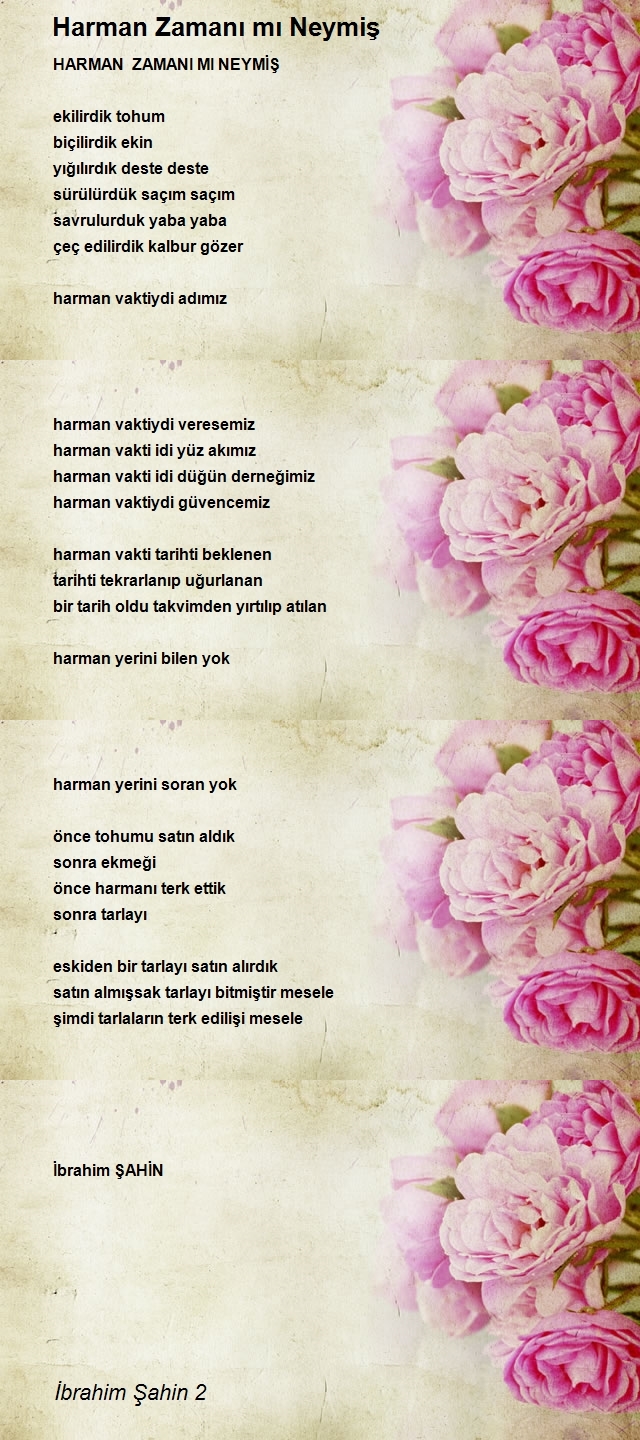 İbrahim Şahin 2