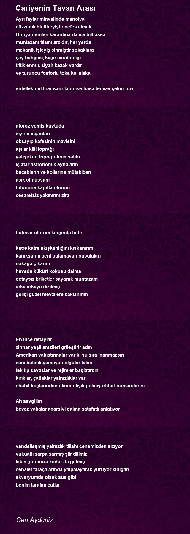Can Aydeniz