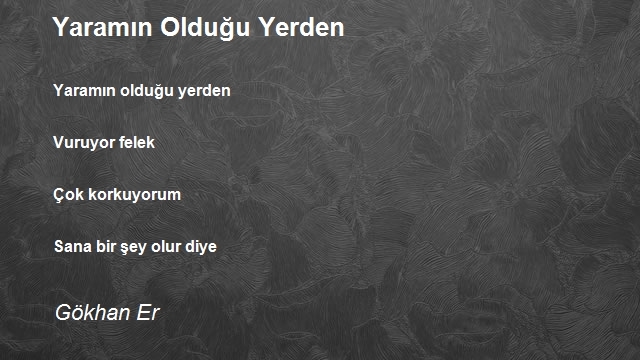 Gökhan Er