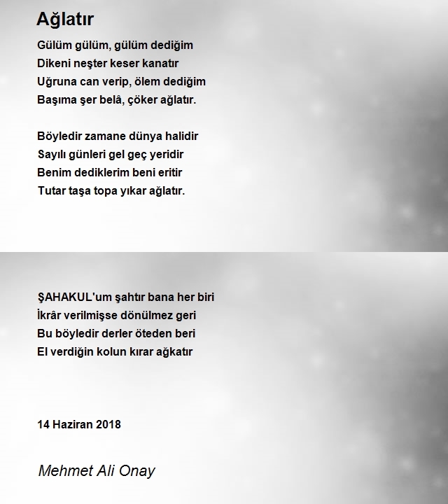 Mehmet Ali Onay