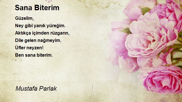Mustafa Parlak