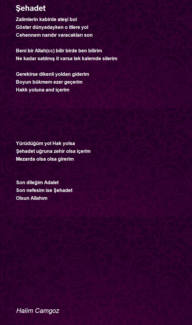 Halim Camgoz
