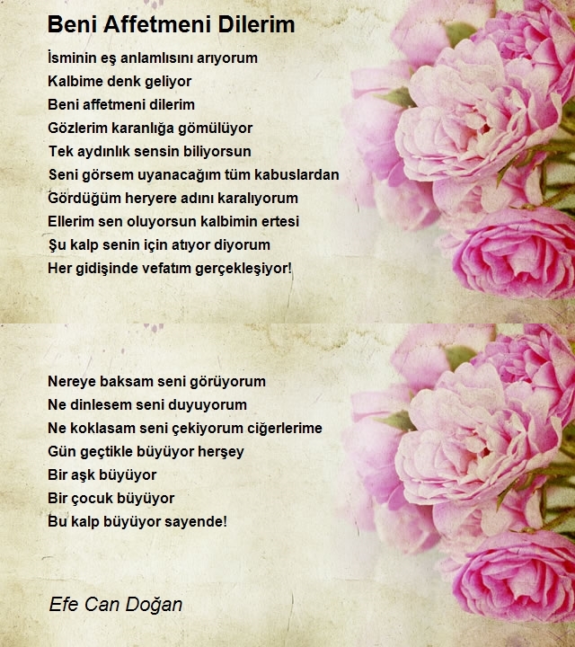 Efe Can Doğan