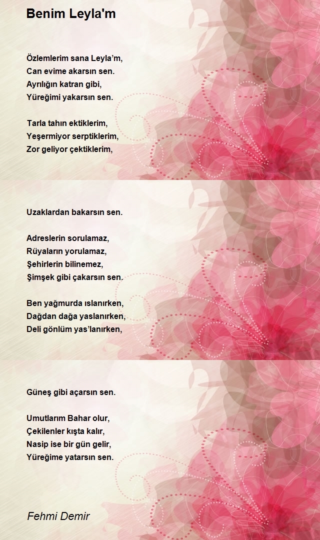 Fehmi Demir