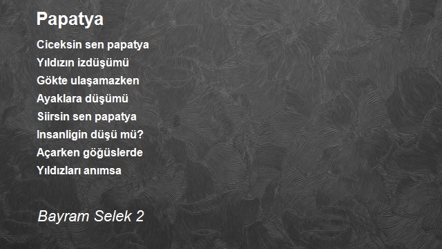Bayram Selek 2