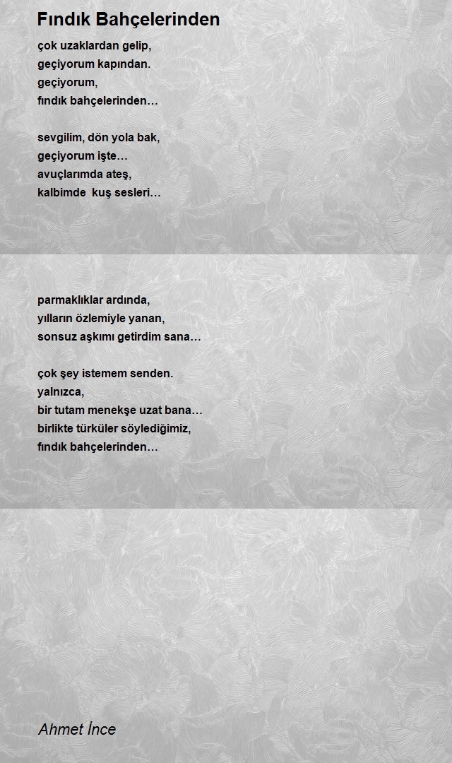 Ahmet İnce