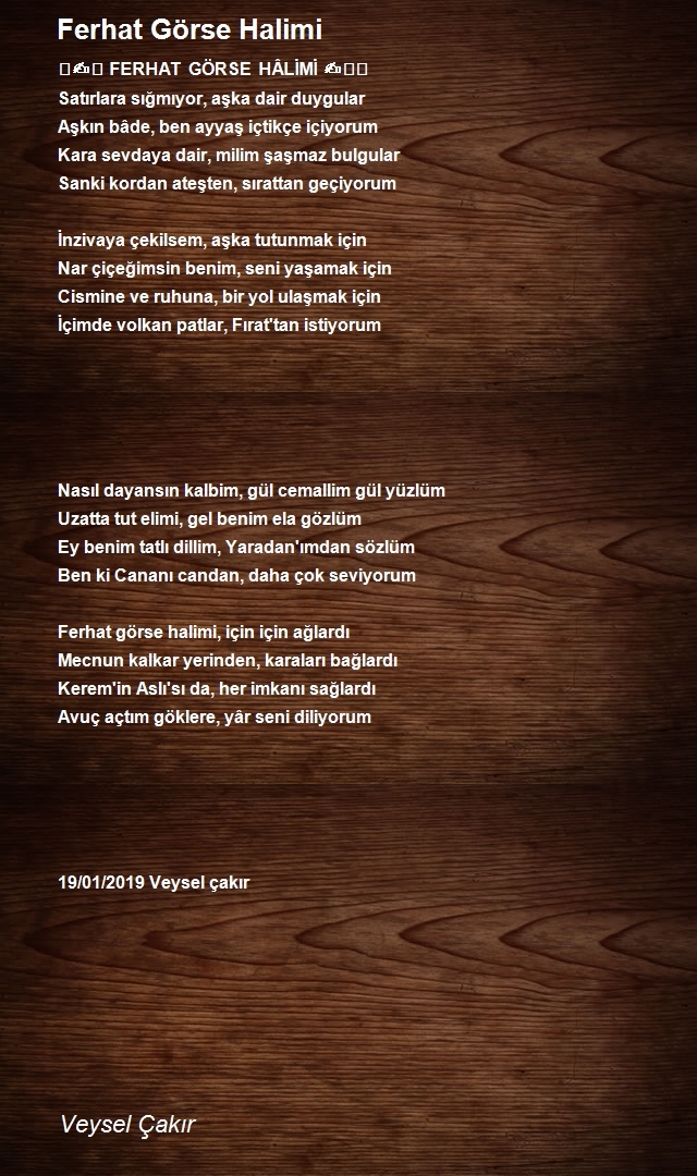 Veysel Çakır