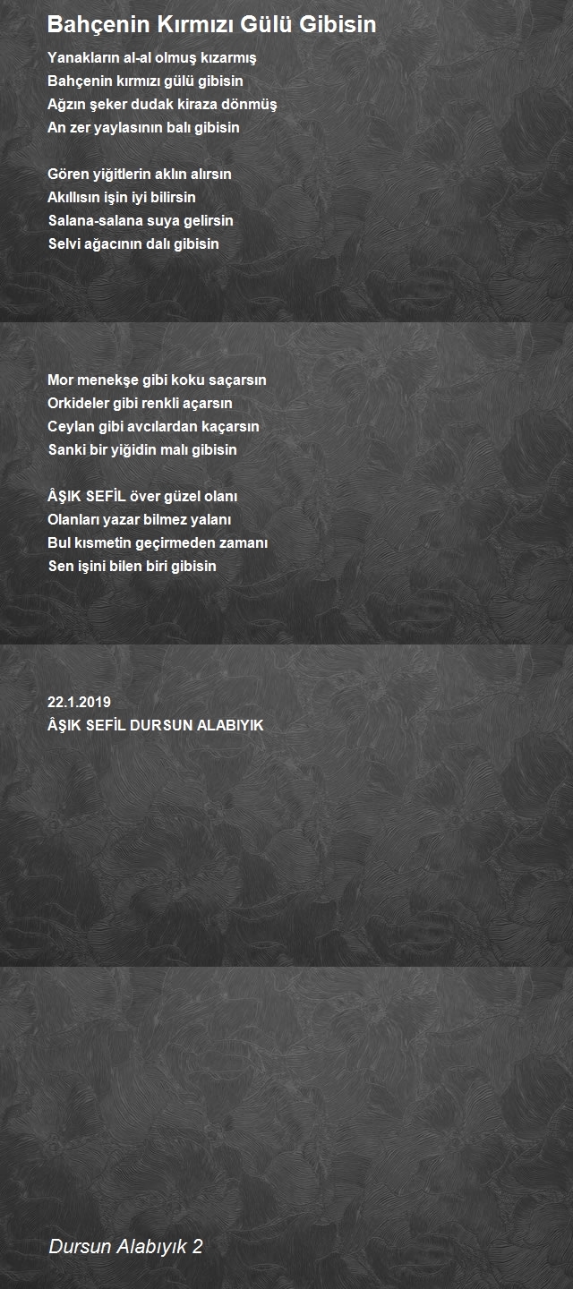 Dursun Alabıyık 2