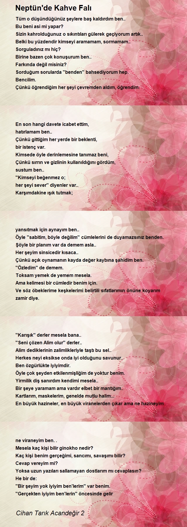 Cihan Tarık Acandeğir 2