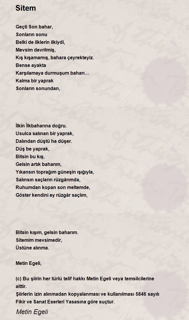 Metin Egeli