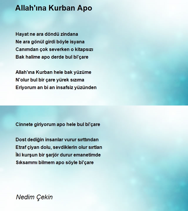 Nedim Çekin