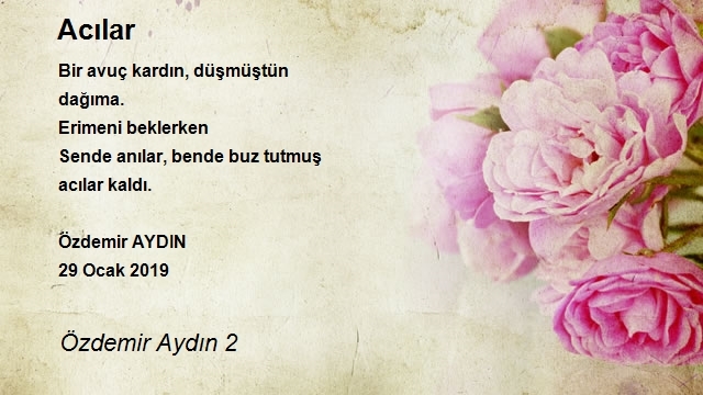 Özdemir Aydın 2