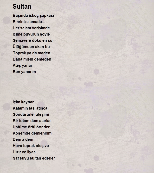 Bayram Selek 2