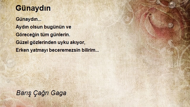 Barış Çağrı Gaga
