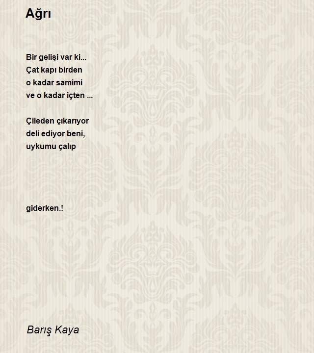 Barış Kaya