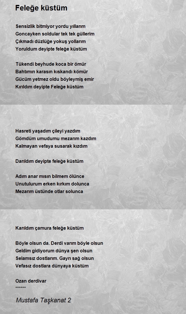 Mustafa Taşkanat 2