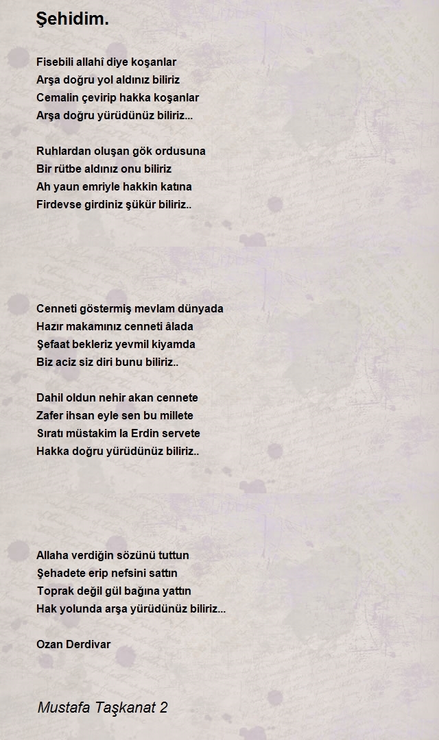 Mustafa Taşkanat 2