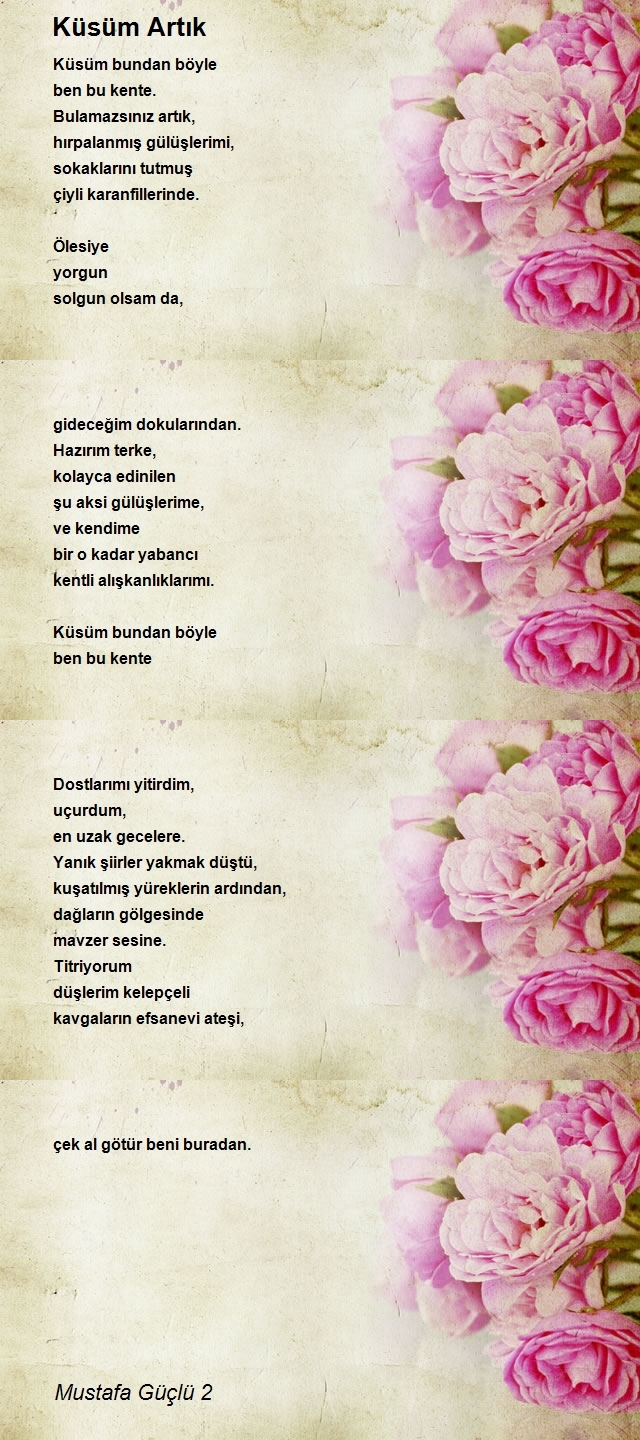 Mustafa Güçlü 2