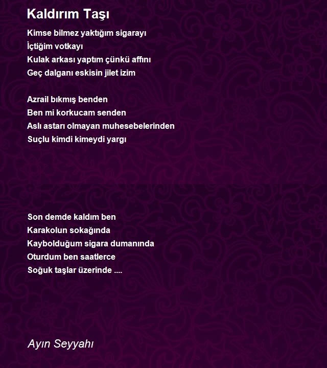 Ayın Seyyahı