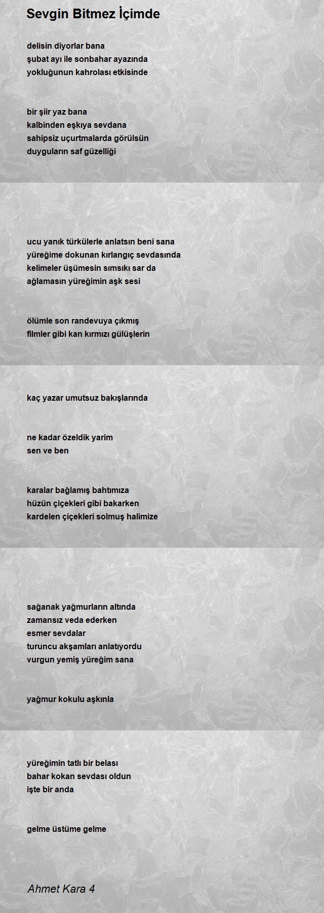 Ahmet Kara 4