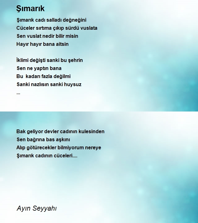 Ayın Seyyahı