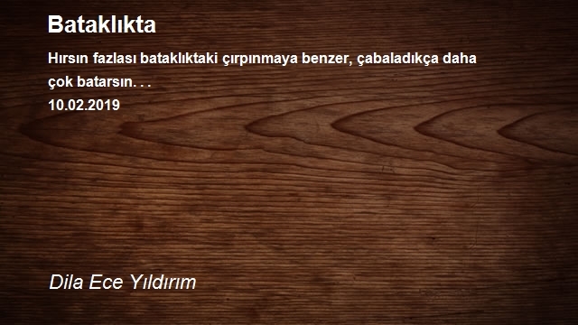 Aşk Aşkın Şehri Ordu