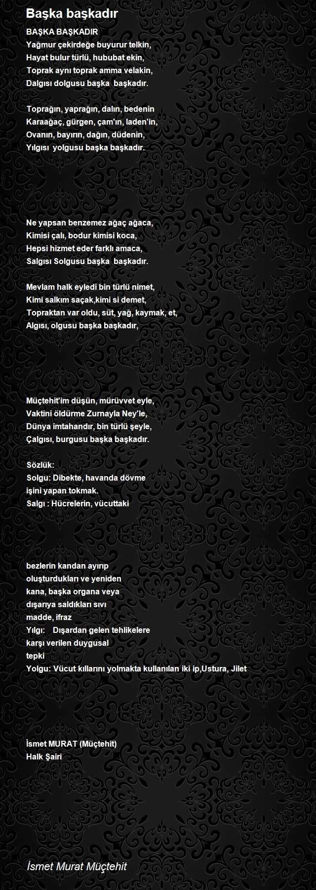 İsmet Murat Müctehit