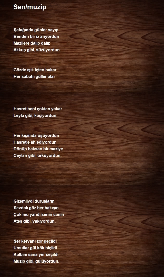 Ahmet Kara 4