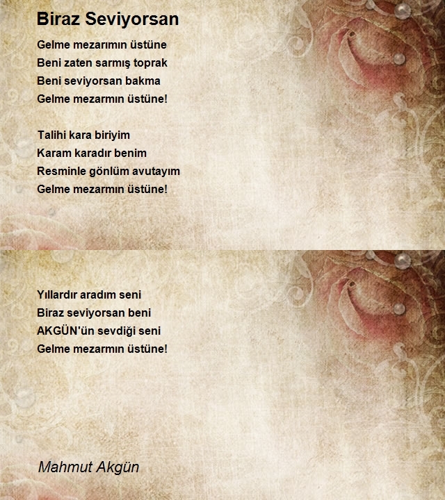 Mahmut Akgün