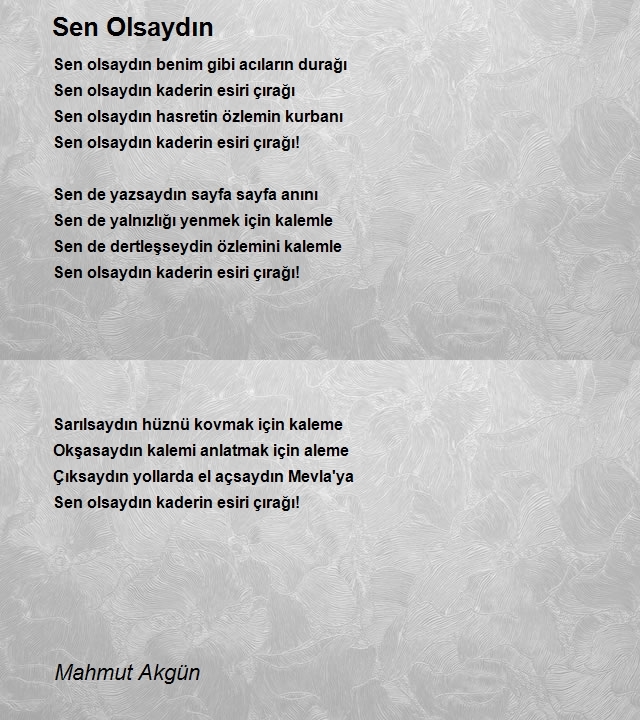 Mahmut Akgün