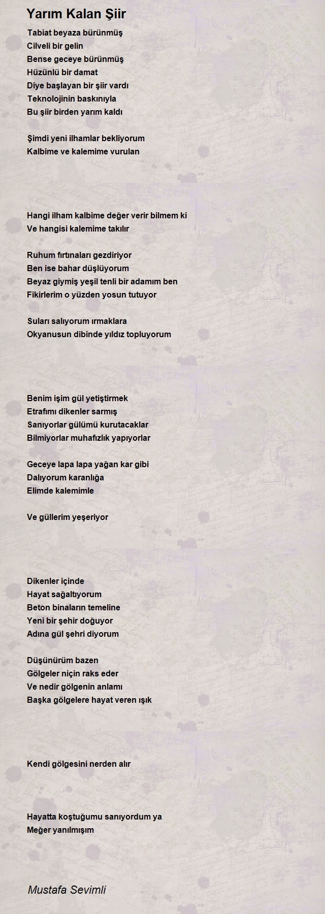 Mustafa Sevimli