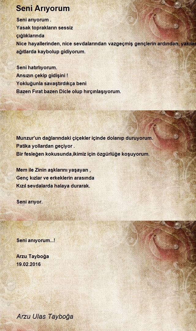 Arzu Ulas Tayboğa