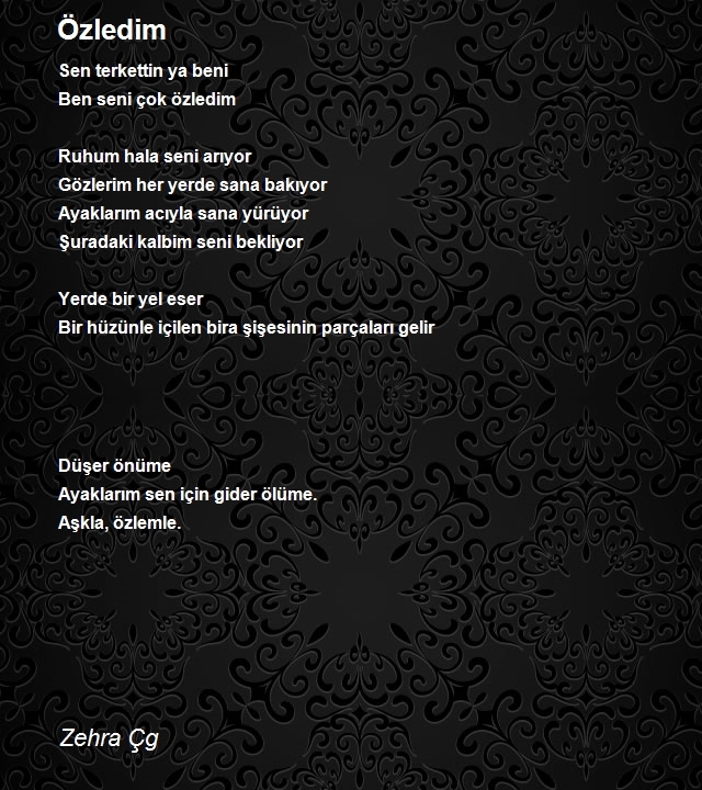 Zehra Çg