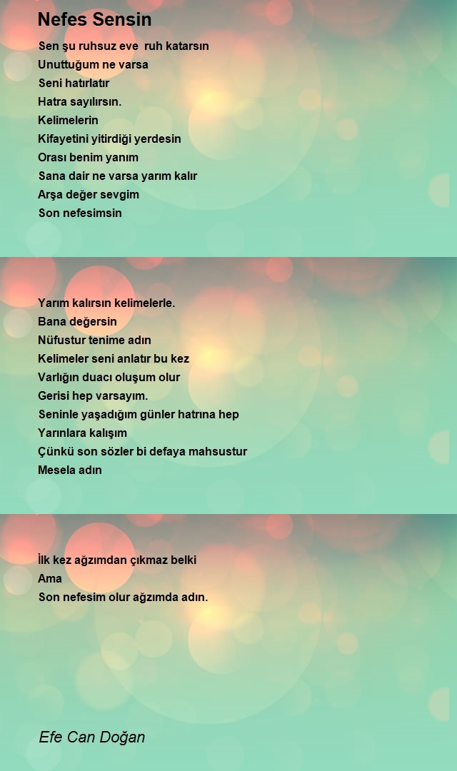 Efe Can Doğan