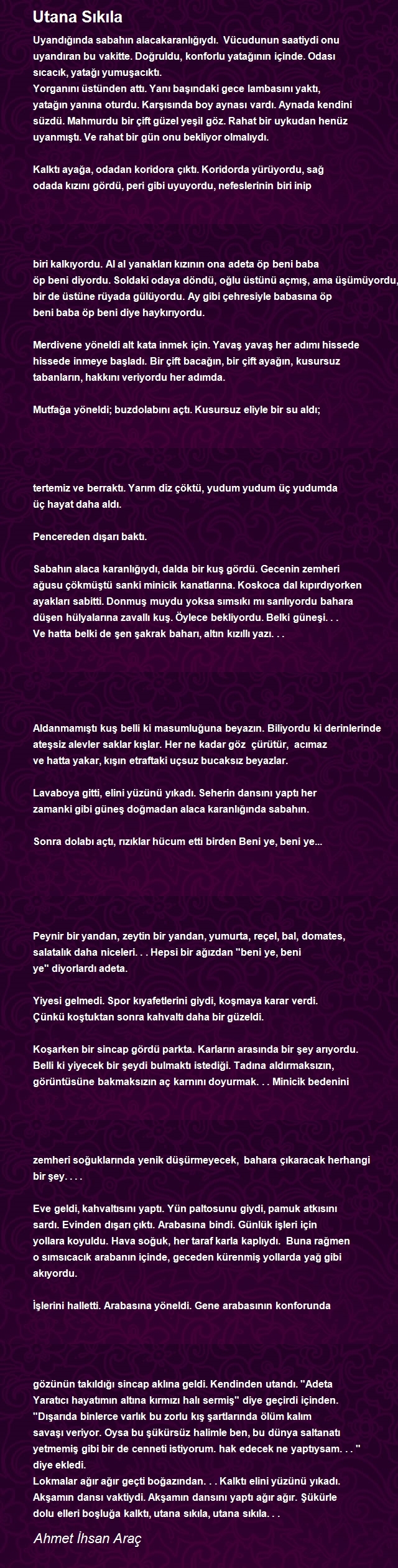 Ahmet Ihsan Arac