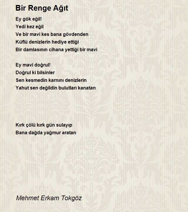 Mehmet Erkam Tokgöz