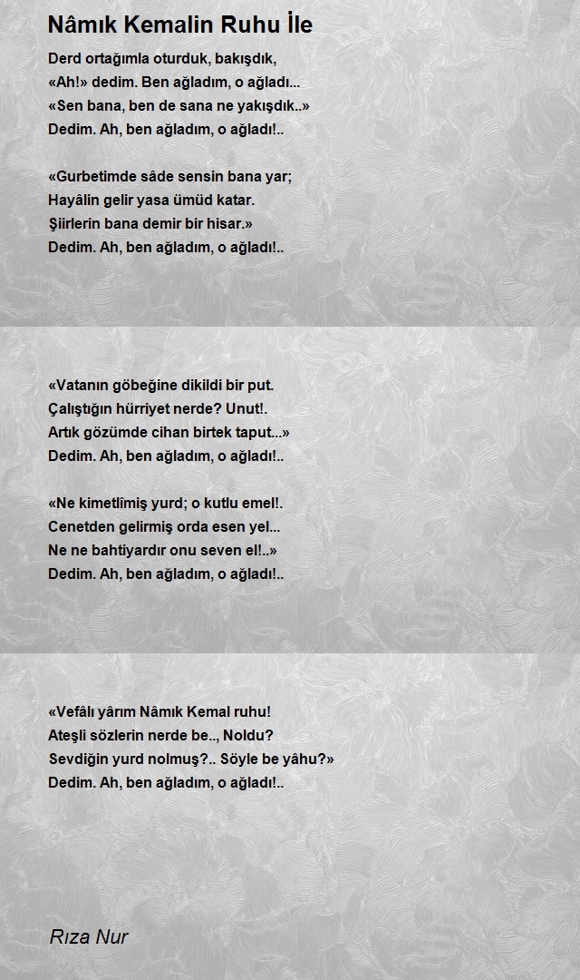 Rıza Nur