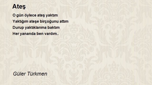 Bir Yolcu 2