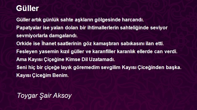 Toygar Şair Aksoy