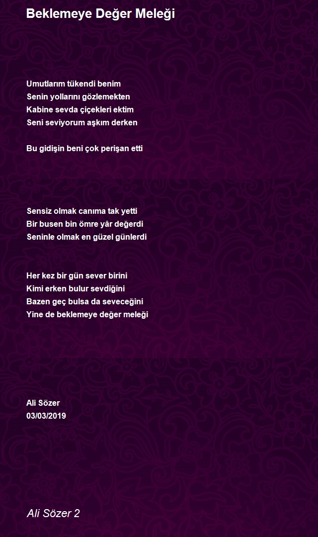 Ali Sözer 2