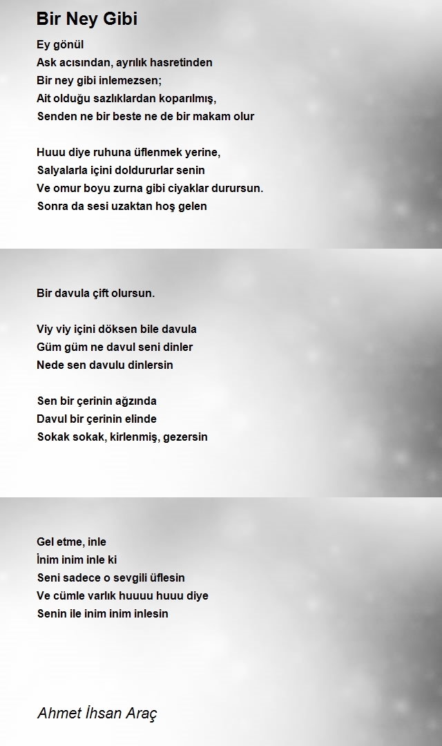 Ahmet Ihsan Arac