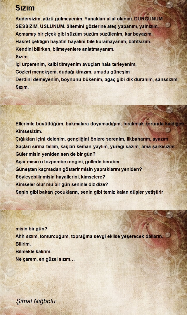Şimal Niğbolu