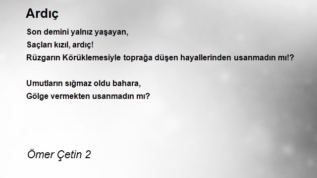 Ömer Çetin 2