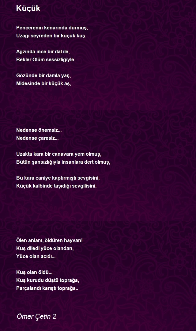 Ömer Çetin 2