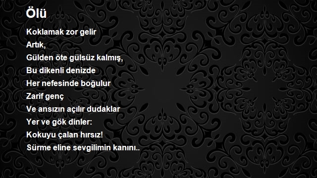 Ömer Çetin 2