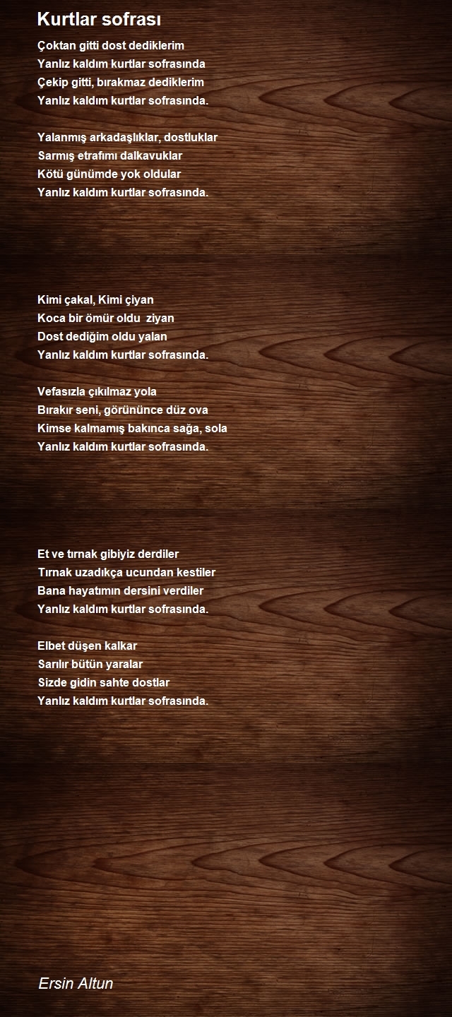 Ersin Altun