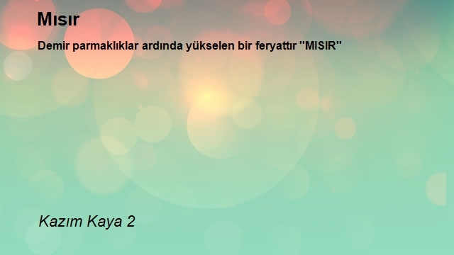 Kazım Kaya 2