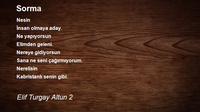 Elif Turgay Altun 2