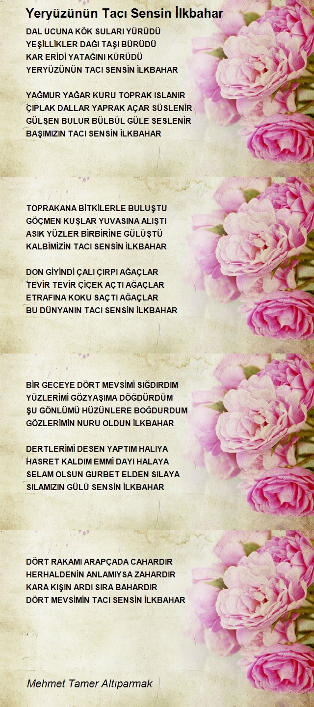 Mehmet Tamer Altıparmak